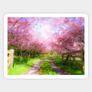 Cherry Blossom Lane Magnet